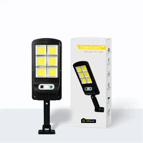 Solar Floodlight