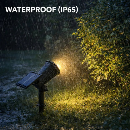 Outdoor light fixture