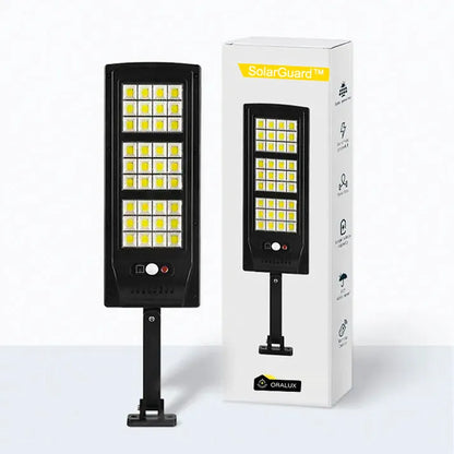 Solar Floodlight